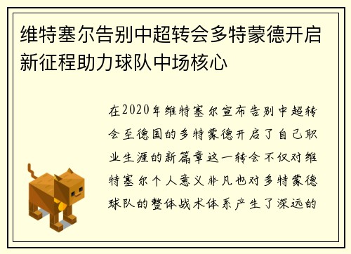 维特塞尔告别中超转会多特蒙德开启新征程助力球队中场核心