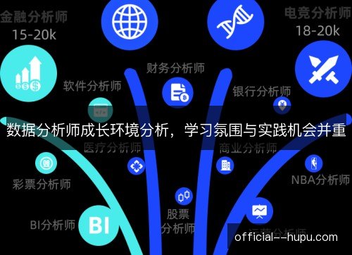 数据分析师成长环境分析，学习氛围与实践机会并重